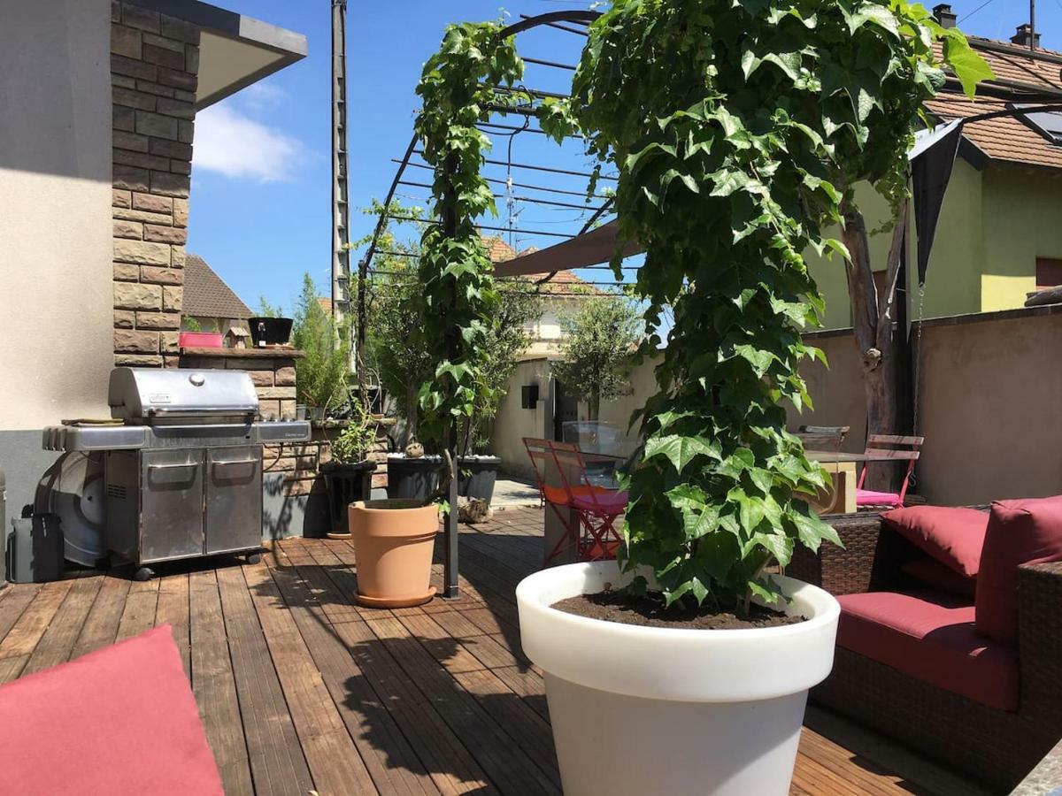 La Terrasse Selestadienne 塞莱斯塔 外观 照片