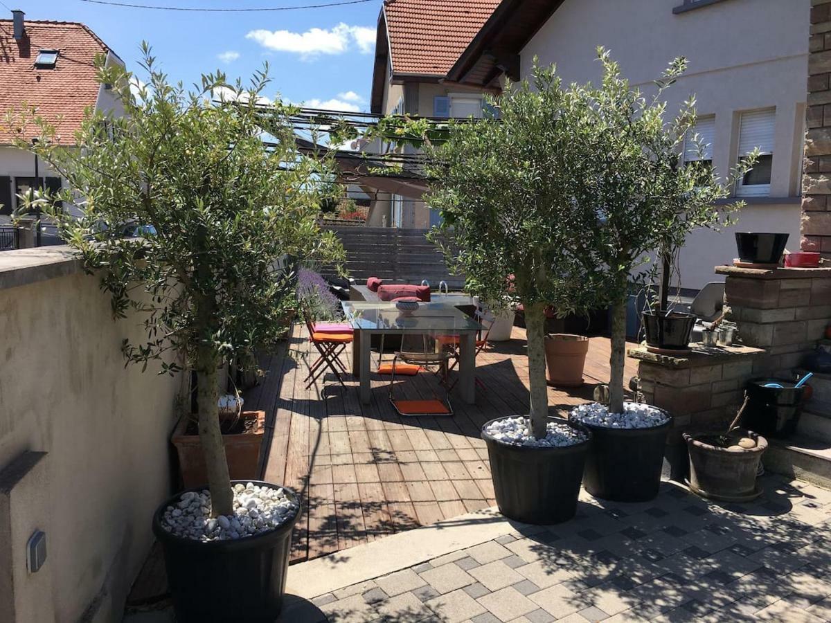 La Terrasse Selestadienne 塞莱斯塔 外观 照片