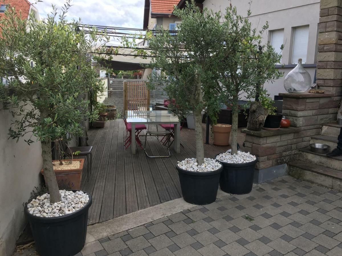 La Terrasse Selestadienne 塞莱斯塔 外观 照片